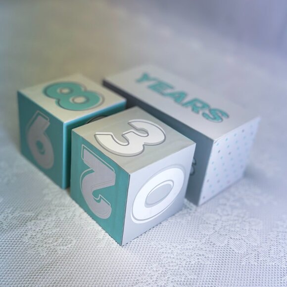 Newborn Milestone Blocks Days Months Years Nursery Decor Baby Gift Counting Toy - Picture 5 of 5